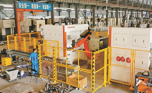 訂單足 生產(chǎn)忙——教學(xué)用模型及教具制造業(yè)的發(fā)展現(xiàn)狀